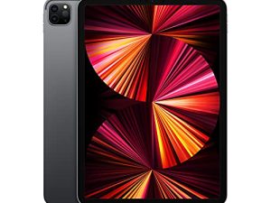 Apple iPad Pro 11 pouces 2021 (Wi-Fi