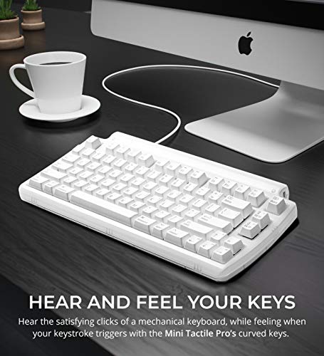 Matias FK303 Mini Tactile Pro Clavier Tenkeyless – Image 2