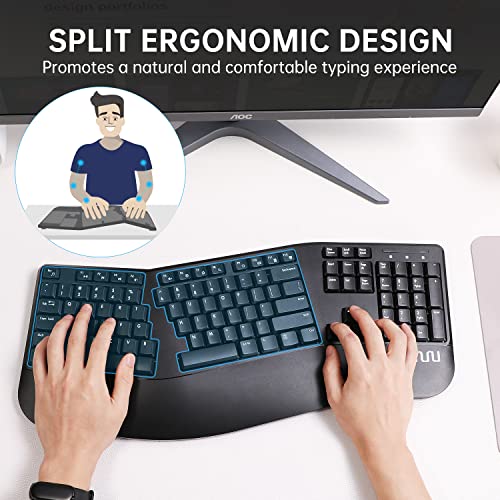 Clavier et souris sans fil ergonomiques --2