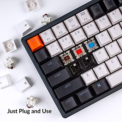 Keychron K2 Disposition 75 % 84 touches – Image 2