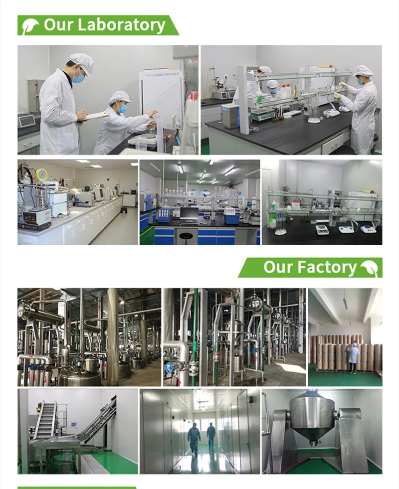 Acide alpha lipoïque