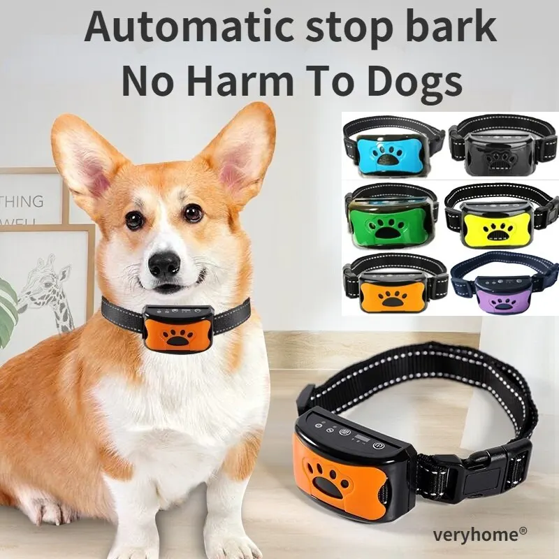 Collier anti-aboiement pour chien, entraînement automatique. – Test et Avis