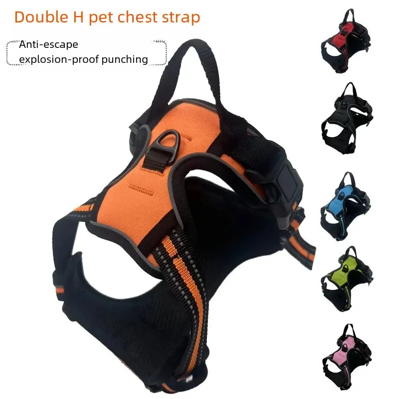 « Double couche anti-évasion pour chien » – Test et Avis
