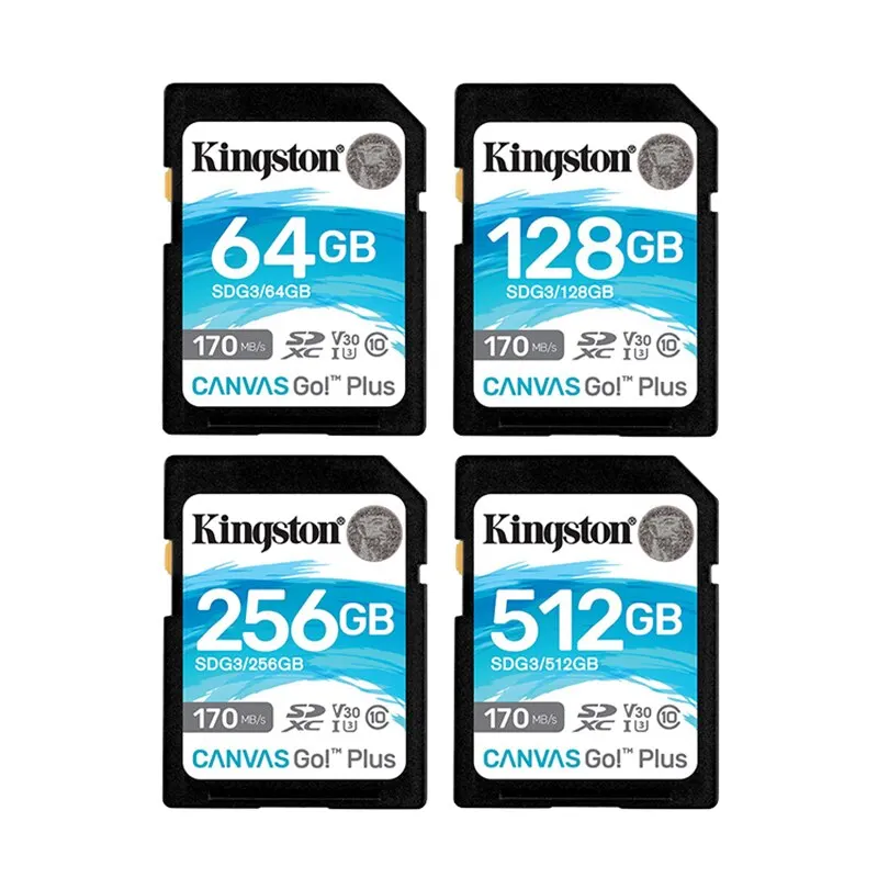 « Kingston Carte SD haute capacité pour Caméra » – Test et Avis