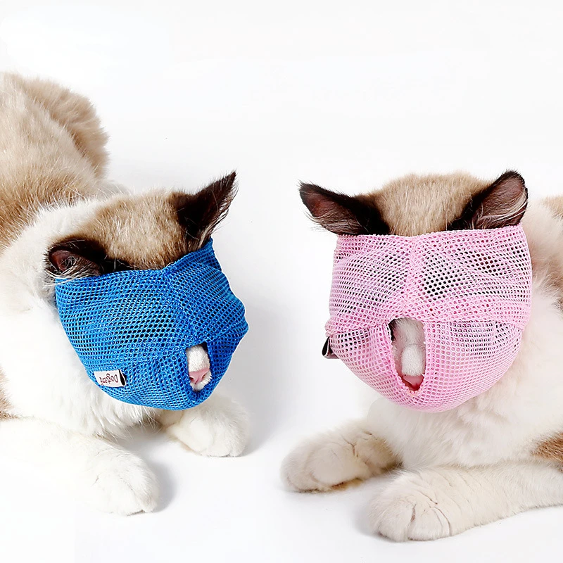 Muselière chat, sac bain, voyage, beauté, toilettage – Test et Avis